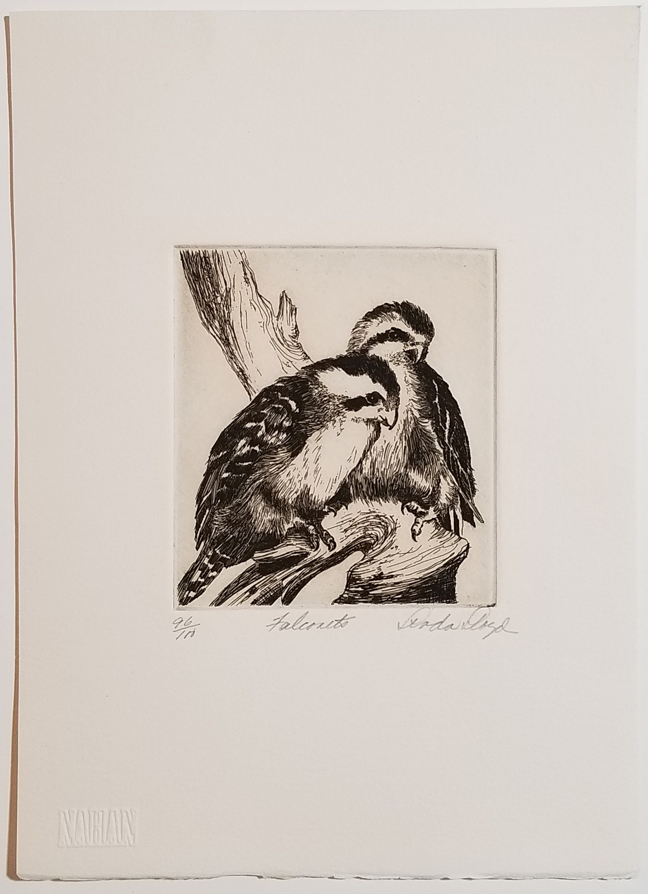 LLOYD, Linda - Original Etching -  " Falconets " - Great Art - Signed!