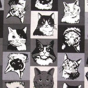 Tissu japonais Un/No - Cat Pop World sur gris crème - Drap 100 % coton