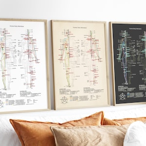 Könnte beinhalten: Drei gerahmte Drucke von menschlichen Körpermeridianen. Die Drucke haben weiße, beige und schwarze Hintergründe. Jeder Druck zeigt ein detailliertes Diagramm mit farbigen Linien und Text, das Akupunkturpunkte und Energiebahnen darstellt.