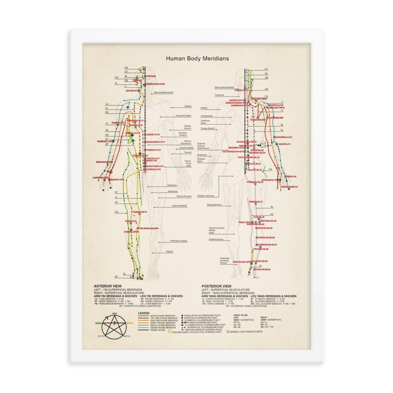 Vintage Acupuncture Chart Print: Human Body Meridians Poster - Etsy