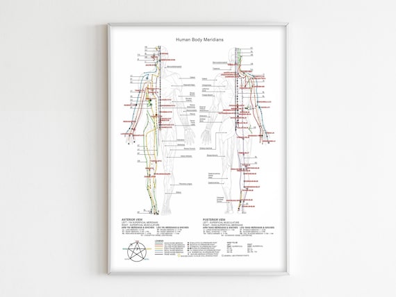 Acupuncture Points Print: Human Body Meridians Chart, Chinese