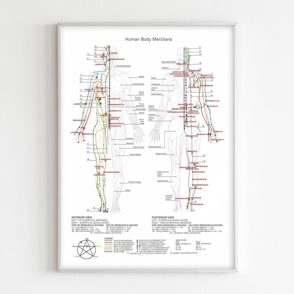 Meridian Chart - Etsy