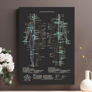 Meridianen en acupunctuur van het menselijk lichaam, zwarte versie, drukpuntengrafiek voor wanddecoratie en print, poster Chinese geneeskunde, levenslijnen voor het lichaam.