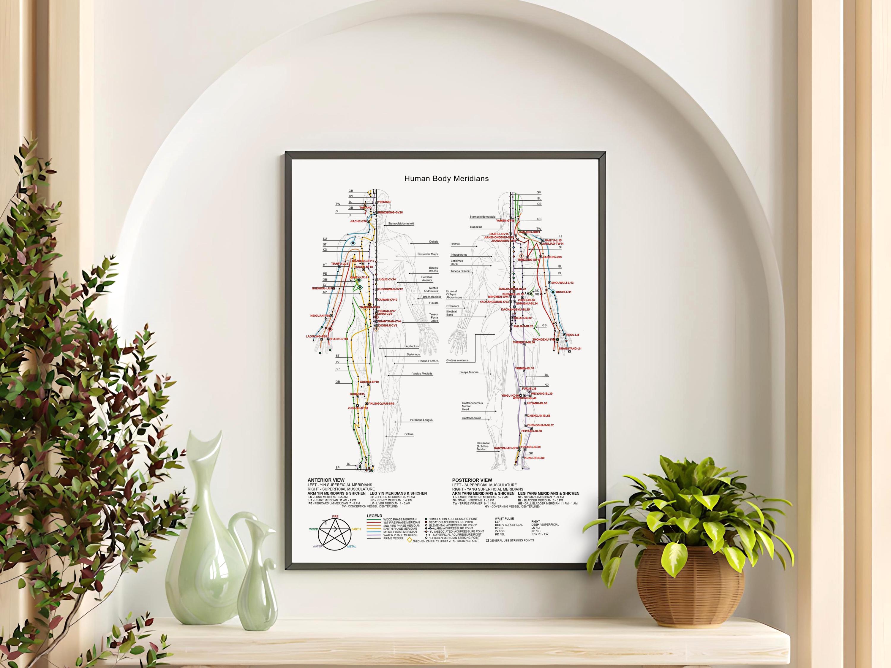 Acupuncture Points Print: Human Body Meridians Chart, Chinese Medicine ...