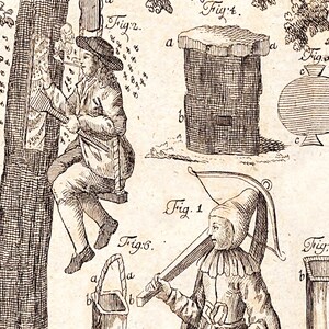 May include: An antique illustration depicting beekeeping activities. A man on a swing harvests honey, while other figures tend to beehives and equipment. The image includes detailed drawings of tools and structures, with labels like "Fig. 1" and "Fig. 4".