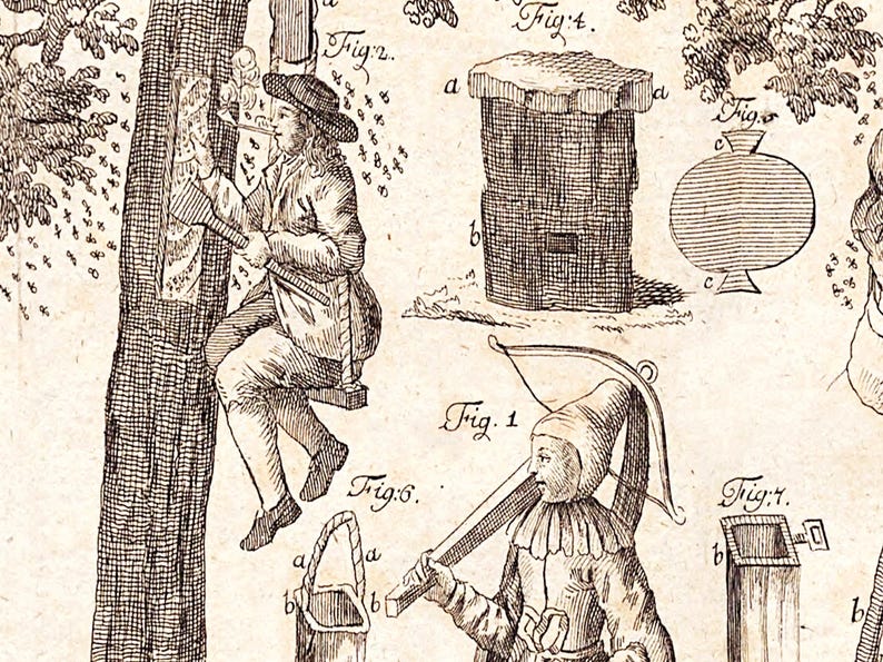 May include: An antique illustration depicting beekeeping activities. A man on a swing harvests honey, while other figures tend to beehives and equipment. The image includes detailed drawings of tools and structures, with labels like "Fig. 1" and "Fig. 4".