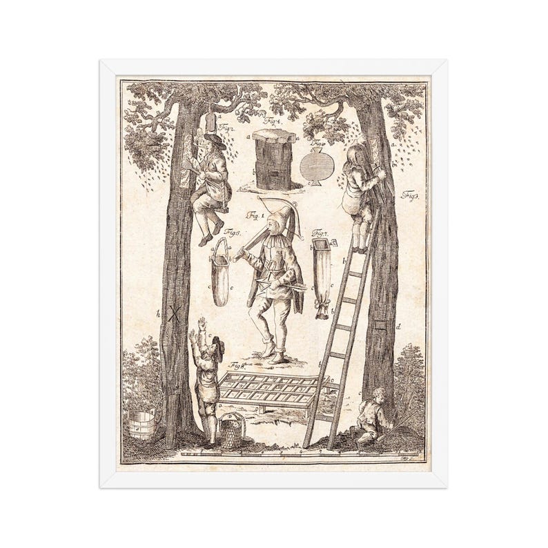 May include: Black and white vintage print depicting beekeepers harvesting honey. The print shows several figures interacting with trees, ladders, and various beekeeping tools. The artwork is framed in a white border.