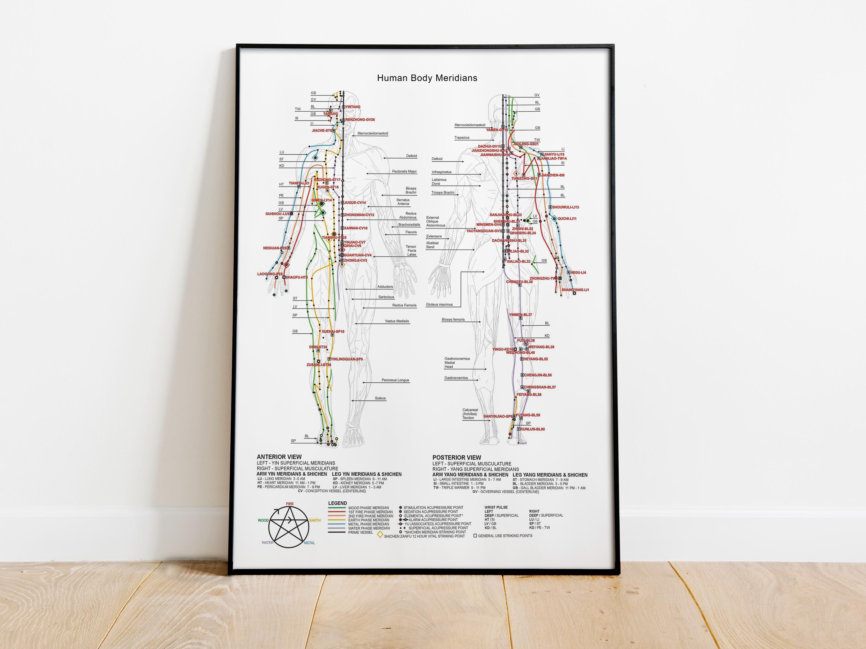 Acupuncture Points Print: Human Body Meridians Chart, Chinese Medicine ...