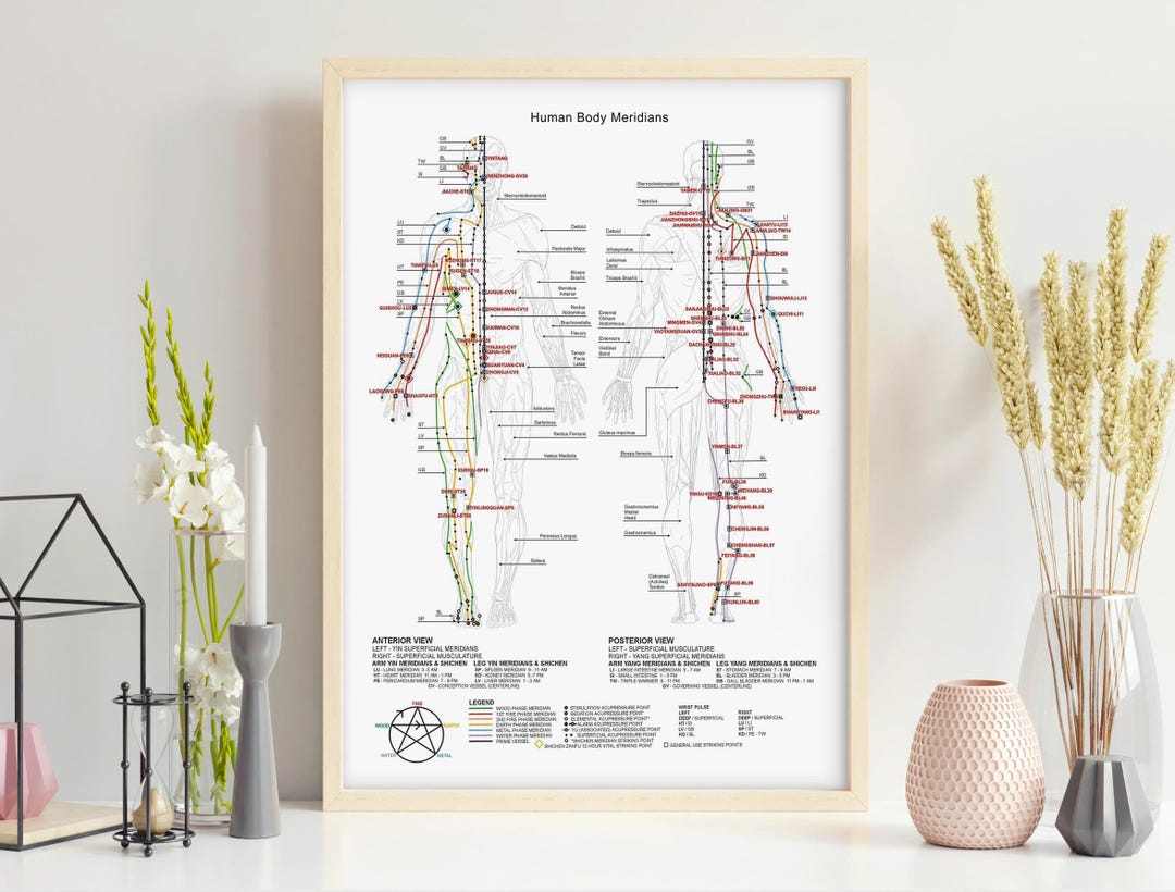 Human Body Meridians and Acupuncture Print, Pressure Points Chart for ...