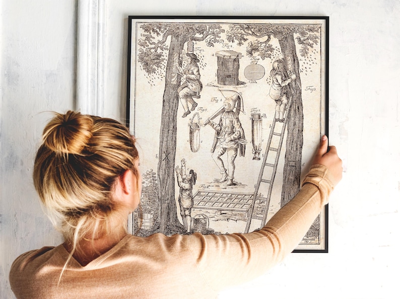 May include: Black framed vintage print depicting a detailed illustration of figures interacting with trees, ladders, and tools. The artwork features a monochromatic color scheme and a historical, scientific theme.