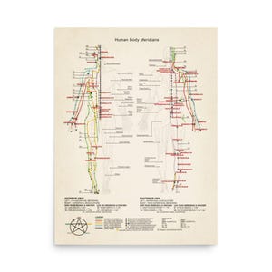 Vintage Acupuncture Chart Print: Human Body Meridians Poster - Etsy