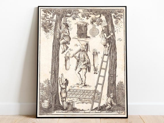 Vintage Beekeeping Print: Medieval Apiculture Art on Museum Paper