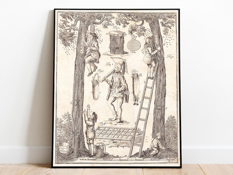 May include: Black and white vintage print depicting beekeeping activities. Figures are shown climbing trees, using ladders, and handling equipment. A central figure holds a tool, with a beehive and other tools illustrated.