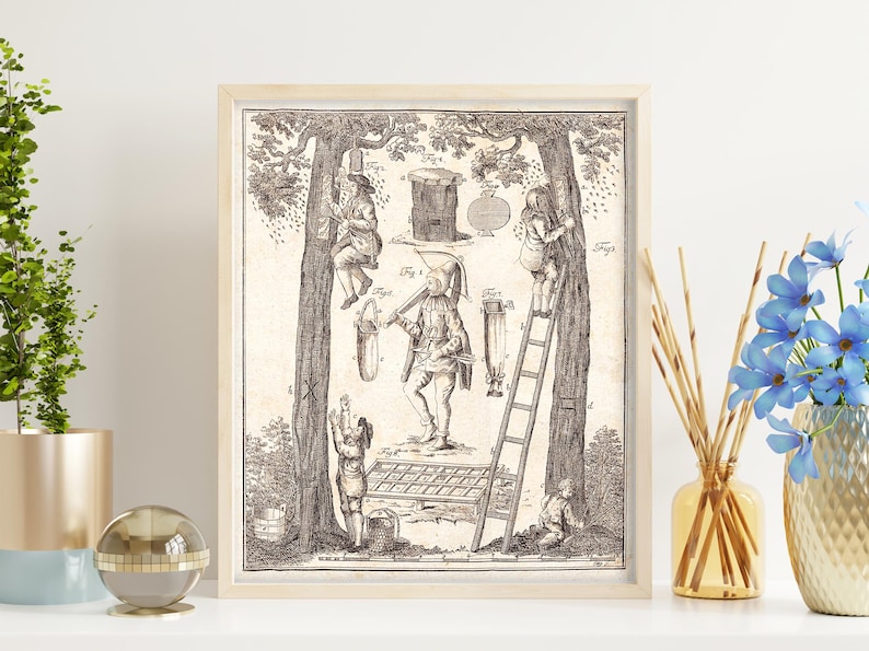 May include: A framed vintage print depicting a beekeeping scene with figures interacting with trees, ladders, and a beehive. The artwork is in black and white, with detailed illustrations of tools and activities. The frame is a light wood color.