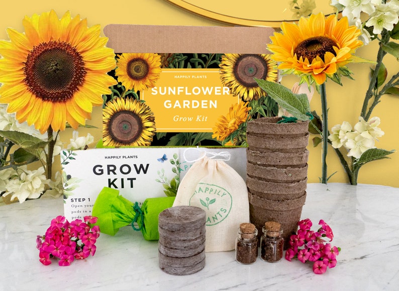Butterfly Garden Grow Kit for Kids & Adult Butterfly Flower Garden Kit Garden Lover Gifts Plant Gifts image 9