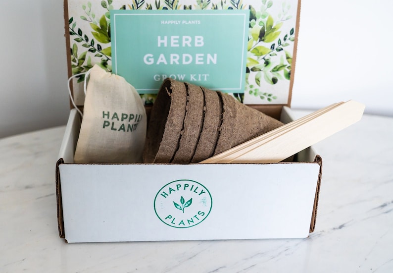 Parsley Herb Garden Grow Kit for Kids /& Adult \u2022 Herb Garden Kit \u2022 Basil Rosemary Chives