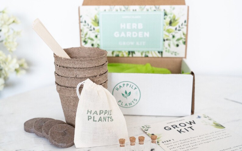 Parsley Herb Garden Grow Kit for Kids /& Adult \u2022 Herb Garden Kit \u2022 Basil Rosemary Chives