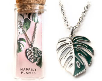 Monstera Albo-bladketting: 18k gouden plantenliefhebbercadeau