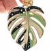 Albino Monstera Deliciosa Monstera Albo| Variegated Monstera Deliciosa, Swiss Cheese Plant - Keychain - Plant Gifts 