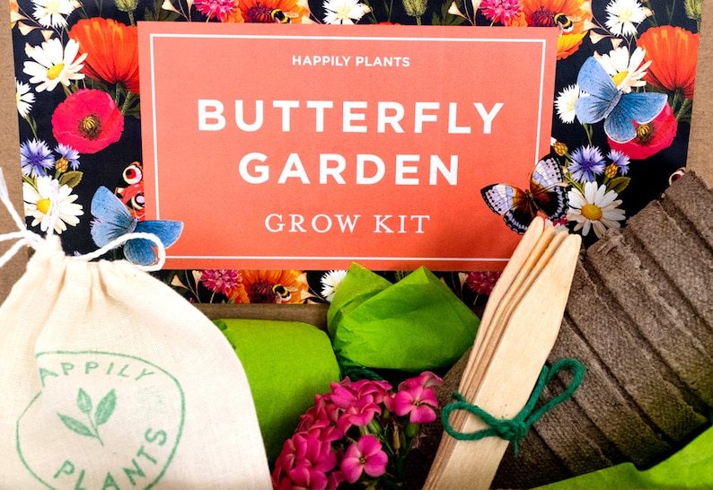 Butterfly Garden Grow Kit for Kids & Adult Butterfly Flower Garden Kit Garden Lover Gifts Plant Gifts image 6