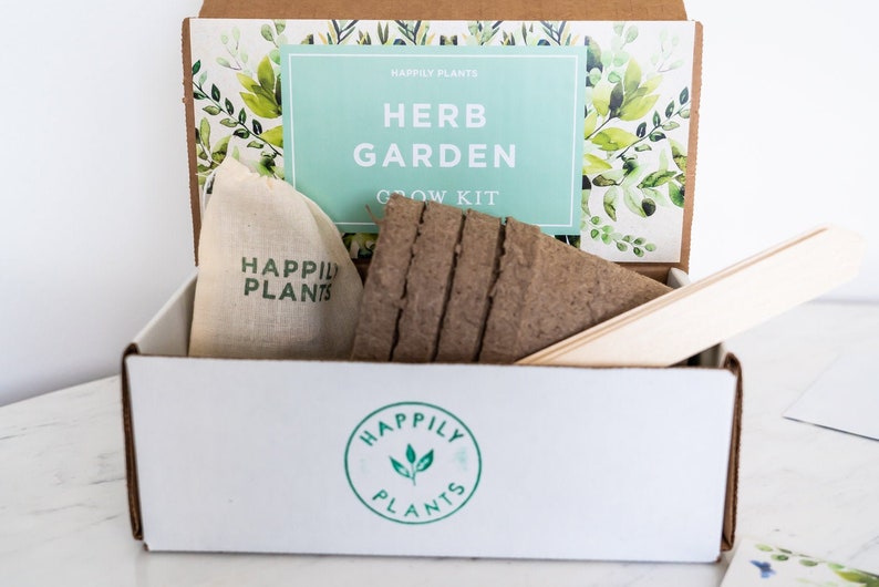 Parsley Herb Garden Grow Kit for Kids /& Adult \u2022 Herb Garden Kit \u2022 Basil Rosemary Chives