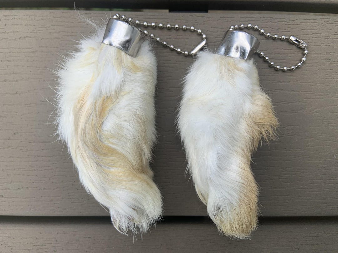 Small Rabbit Foot Keychain Genuine Rabbit Foot Keychains (set of 2) – White & Tan Lucky Charms - Etsy