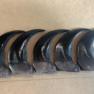 May include: Six large, curved, black metal claws with a shiny finish. The claws are arranged in a row, with the tips pointing to the right. The base of each claw is a dull, gray color.