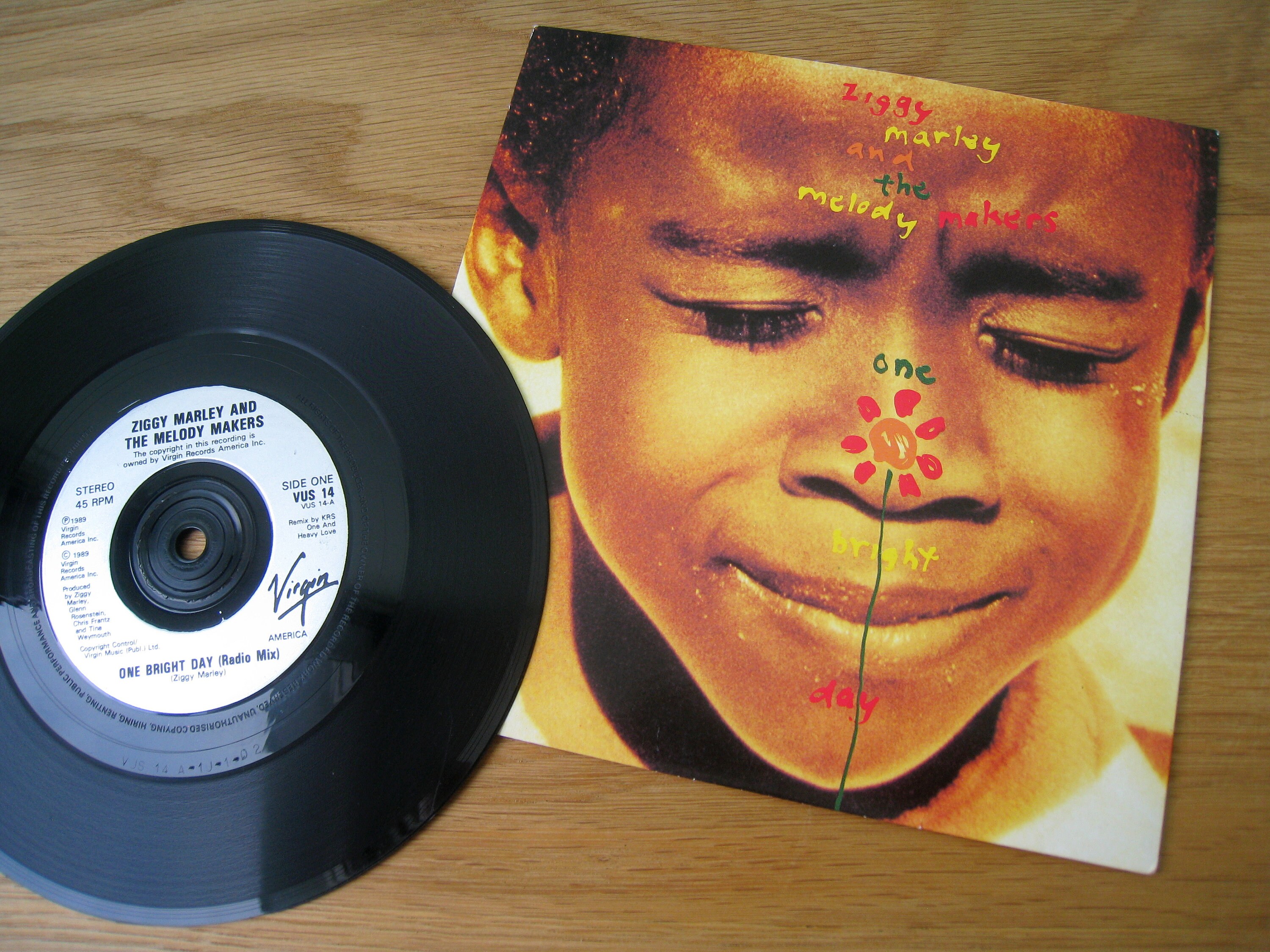 Ziggy Marley - One Bright Day Vinyl Record 7