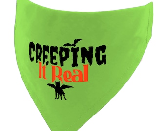 Creeping it Real Halloween Over the Collar Dog Bandana in Sizes XS–XXXL