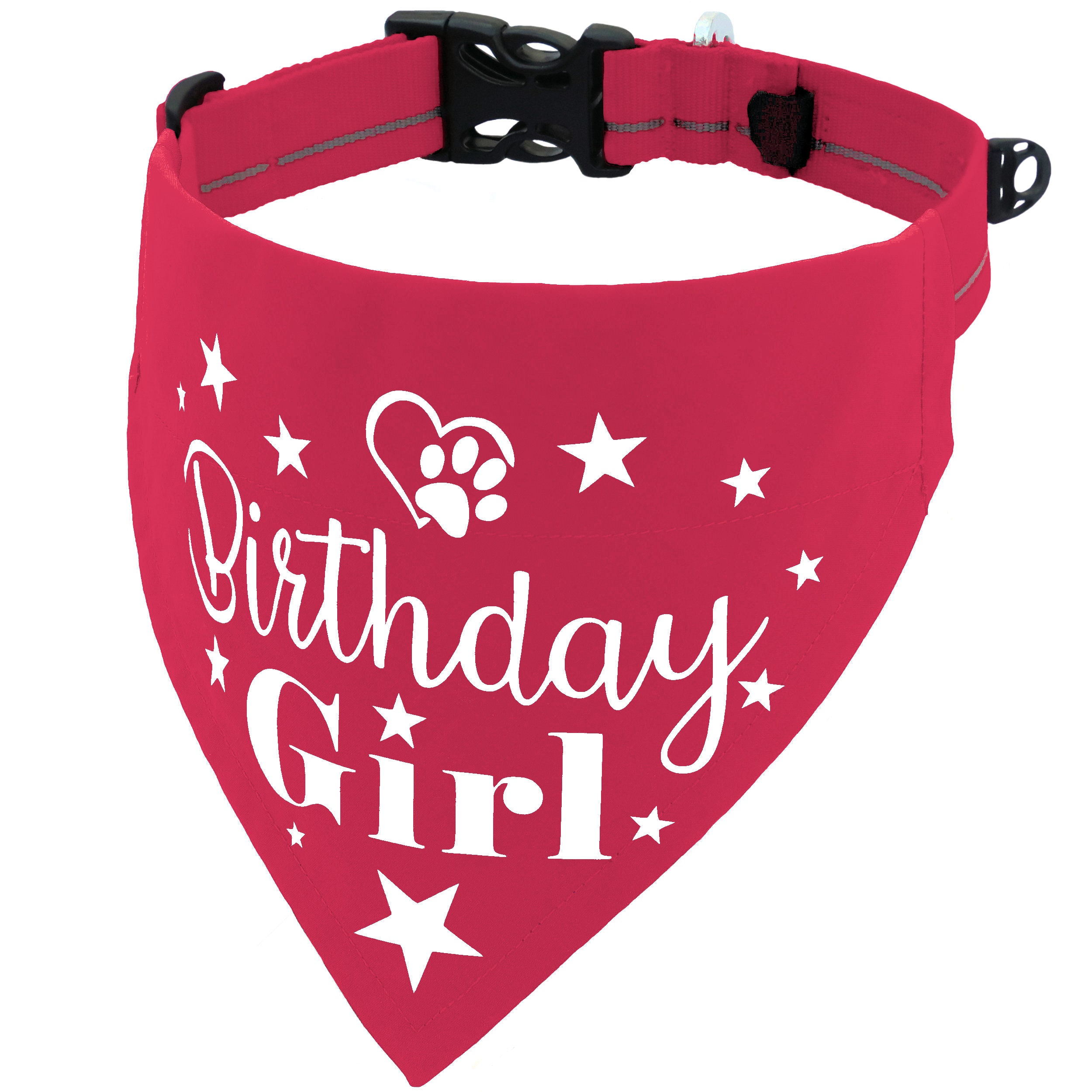 Happy Birthday Boy or Girl Dog Bandana Blue and Pink Slips Etsy UK