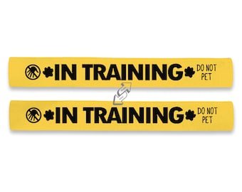 In Training Dog Lead Sleeve for Puppies and Reactive Dogs