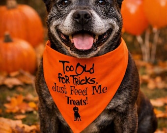 Too Old for Tricks Just Feed Me Treats Over the Collar Dog Bandana – Halloween