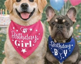 Birthday Dog Over the Collar Bandana in Sizes XS - XXXL