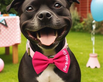 Happy Birthday Girl Dog Bow Tie for Parties and Gifts