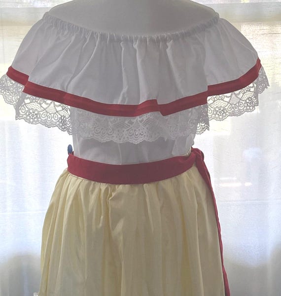 colombia dress traditional Colombia Traditional Dress with Blouse and Skirt