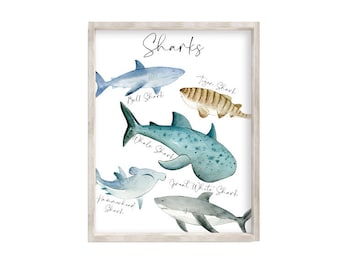 Guardería de bebés tiburones, Guardería de tiburones, Impresiones de habitaciones para niños bajo el agua, Tiburones, Guardería de bebés tiburones, Gráfico de tiburones, Impresión de 18 x 24, 146