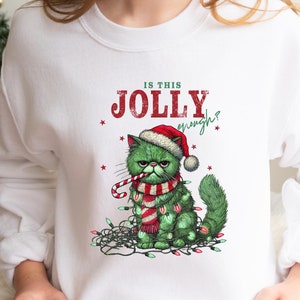 Christmas Cat Shirt, Jolly Christmas Shirt, Is This Jolly Enough, Cat Lover Shirt, Funny Grumpy Cat Christmas Shirt, Christmas Party Shirt