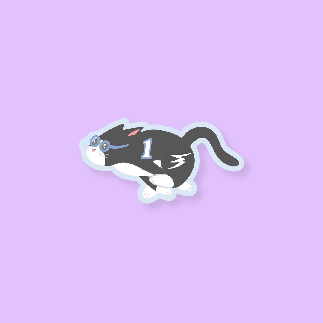 Racing Cat Vinyl Sticker, Zoomies Cat, Cute Cat, Waterproof Sticker ...