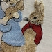 Peter Rabbit Embroidery Design Digital Download Machine - Etsy