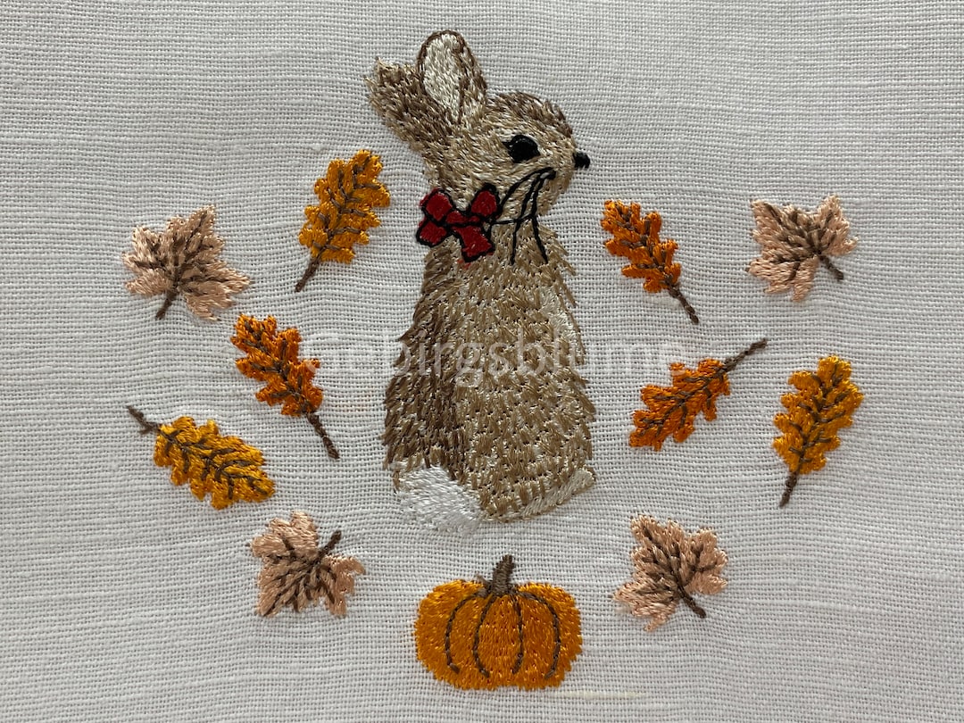 Peter Rabbit Embroidery Design Autumn Machine Embroidery Designs - Etsy