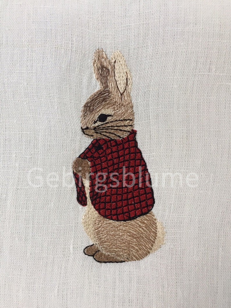 Peter Rabbit Embroidery Design Beatrix Potter Instant Download - Etsy