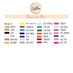 May include: Color chart with various shades and names. The chart includes colors like gold, silver, camel, black, white, cappuccino, mustard, yellow, terracotta, ocean blue, marine blue, blue, mint, sage green, tropical blue, iridescent green, fir green, orange, fluorescent orange, burgundy, and red.