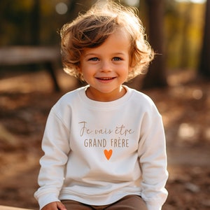 Children's sweatshirt I'm going to be a big brother or sister to announce a pregnancy