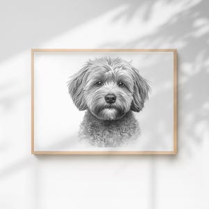 Puede incluir: Retrato en blanco y negro de un perro, probablemente un Cavapoo, enmarcado en un marco de madera clara. El perro tiene un pelaje suave y esponjoso y una cara detallada. La obra de arte está sobre un fondo blanco, con sombras.
