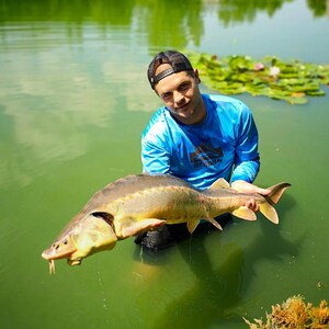 May include: A man in a blue shirt with the word "Rainman" on it holds a large, light brown fish with a long snout. The fish is in a green pond with lily pads.