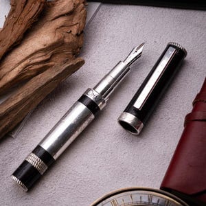 Omas - I Think (Darwin) n.079/1000 - Stylo plume