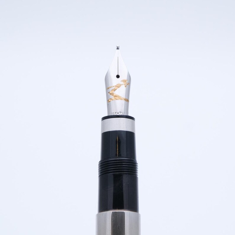 May include: Close-up of a fountain pen nib with gold detailing. The pen has a silver and black barrel. The nib is silver with gold accents. The pen is designed for writing and calligraphy.