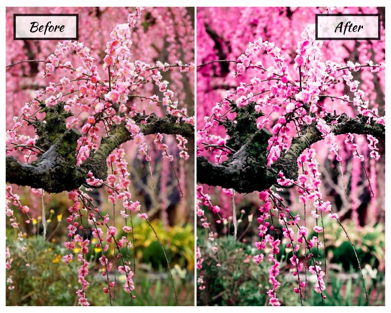 Iphone presets,vsco filters 8 MOBILE lightroom presets MAGNOLIA Spring presets Instagram Preset lightroom mobile Bright Natural Colorful