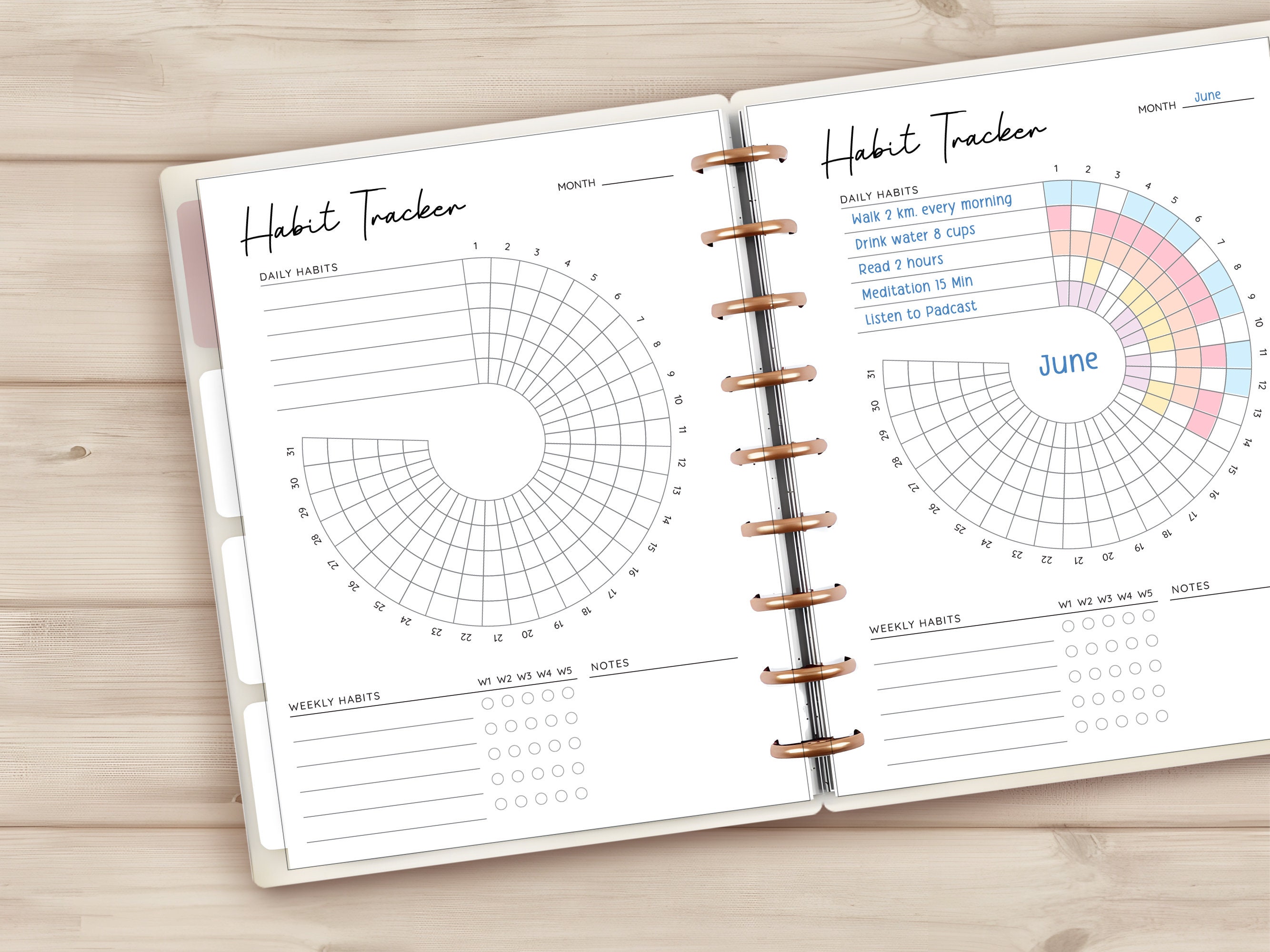 Happyplanner Circle Habit Tracker Printable, Happy Planner Habit ...