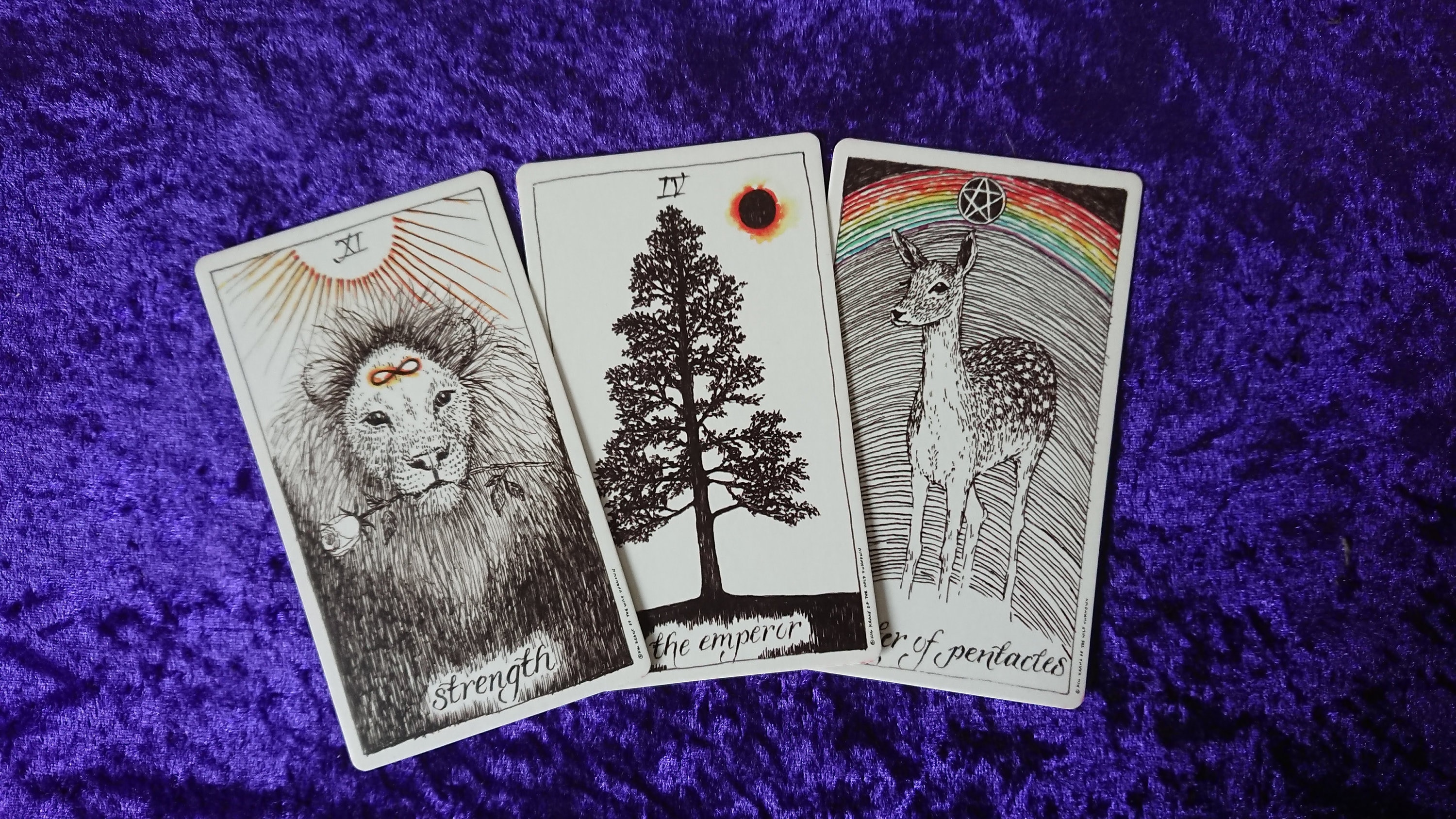 Lånte studie gravid Are You Feeling Lost This 3 Card Tarot Reading Should Help - Etsy